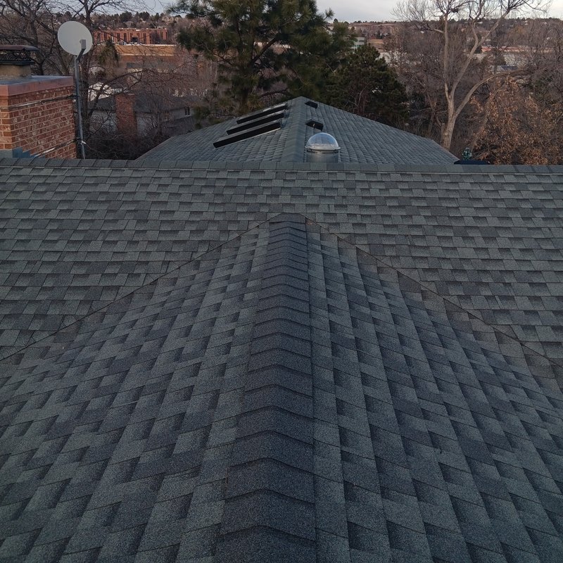 Gray shingle roof with a ridge and several roof vents, trees beyond