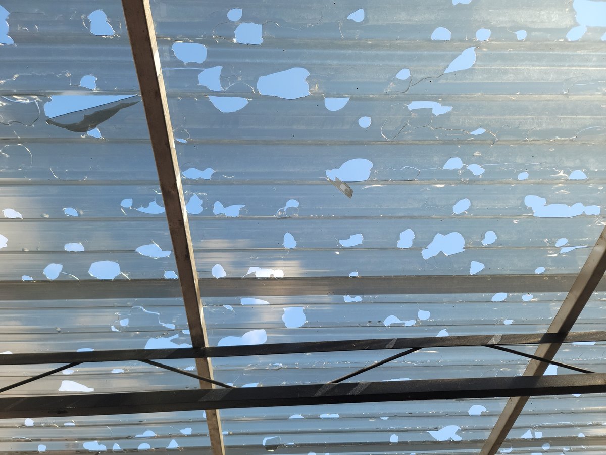 Storm damage visible as holes in corrugated roofing panels
